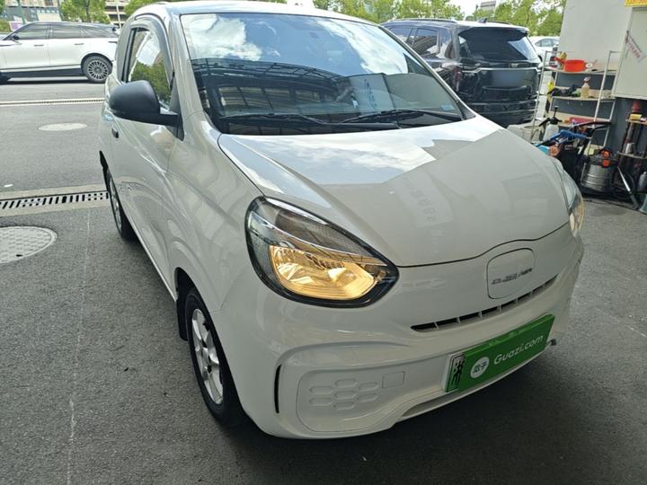 Clever R 2022 311km Yuan photo 3