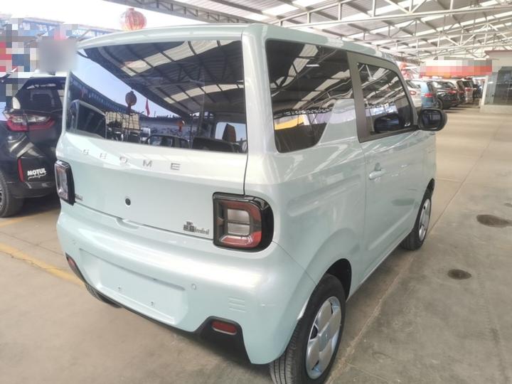 2023 Panda mini 200km Endurance Bear photo 6