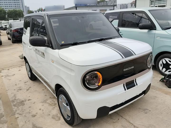 2023 Panda mini 200km Endurance Bear photo 3