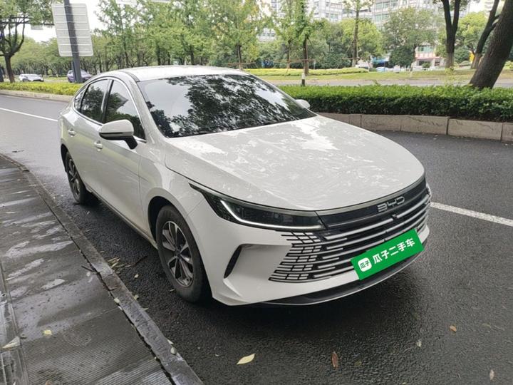 Destroyer 05 2024 Honor DM-i 55KM Luxury photo 3