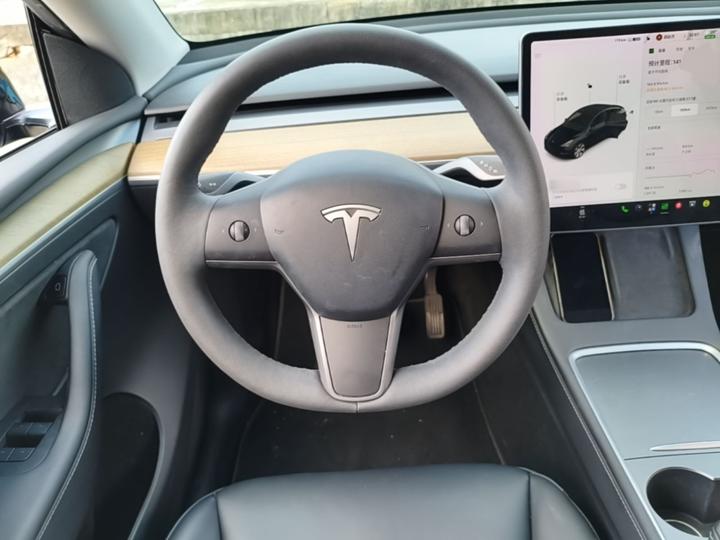 Model Y 2021 Long Range AWD photo 6