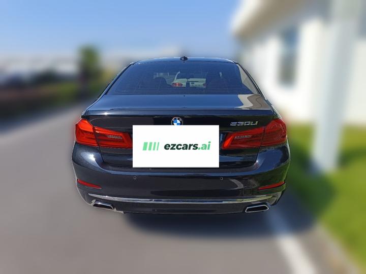 5 Series 2018 525Li Luxury photo 5