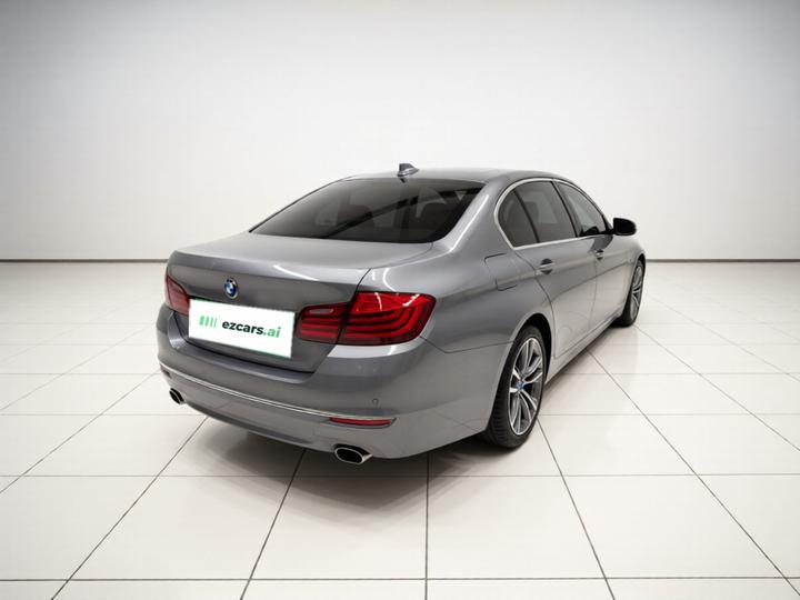 5 Series 2017 525Li Luxury Design Package photo 6