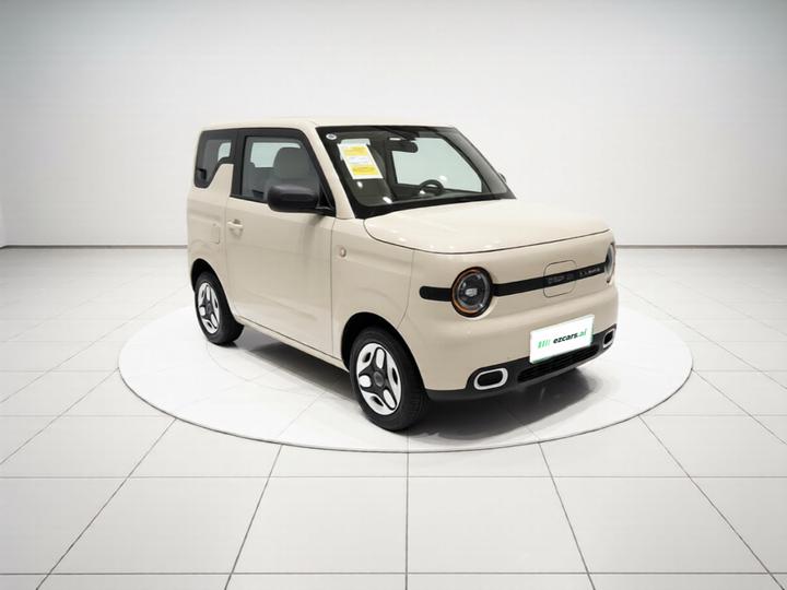 2025 Panda mini 210km Yuan photo 3