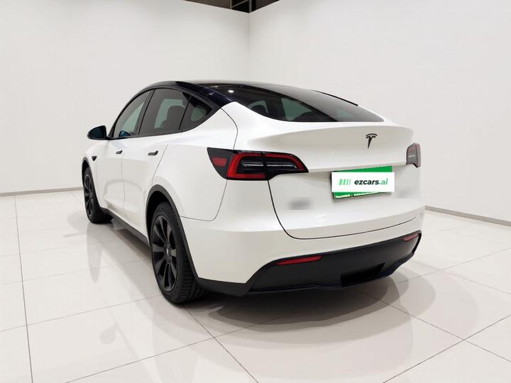 Model Y 2024 RWD photo 4