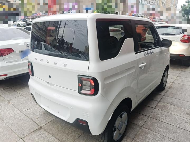 2023 Panda mini 200km Endurance Bear photo 6