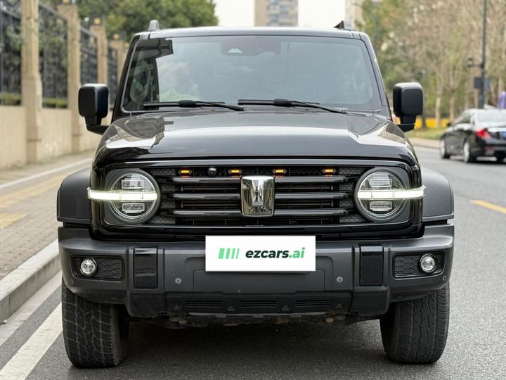 300 2021 Off-road 2.0T Conqueror photo 3