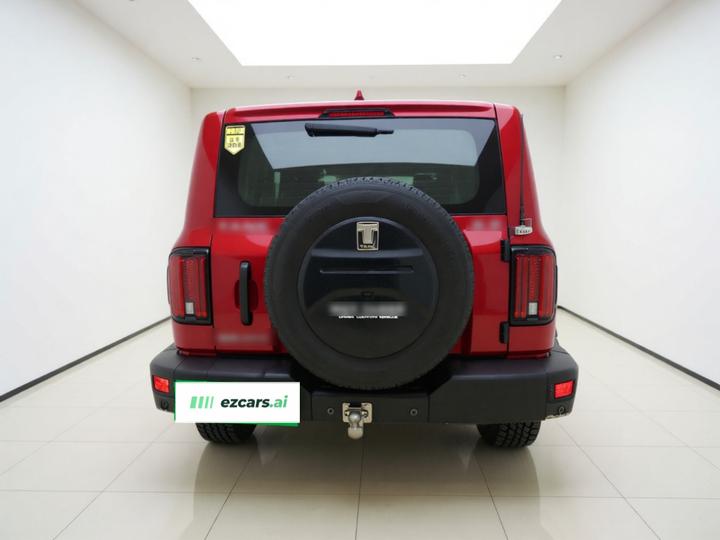300 2021 Off-road 2.0T Conqueror photo 5