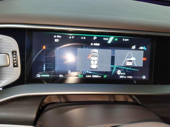 D9 2024 DM-i 980 AWD Noble photo 6