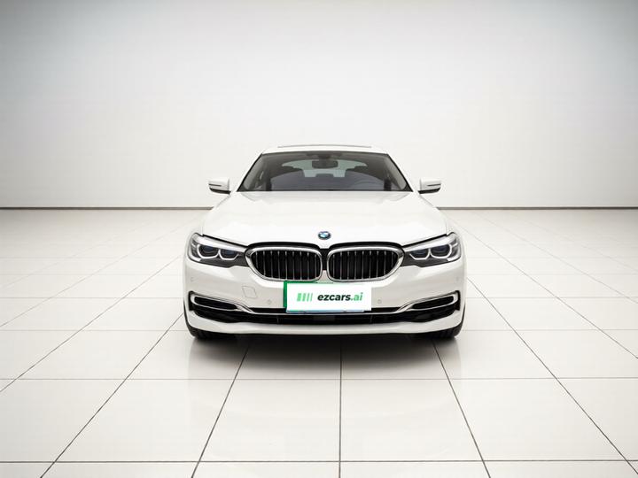 5 Series 2019 530Li xDrive Luxury photo 2
