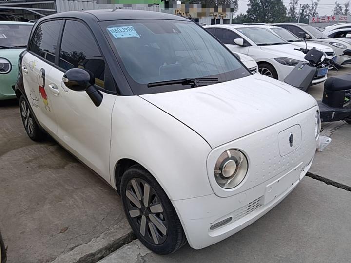 2021 351km Luxury photo 3
