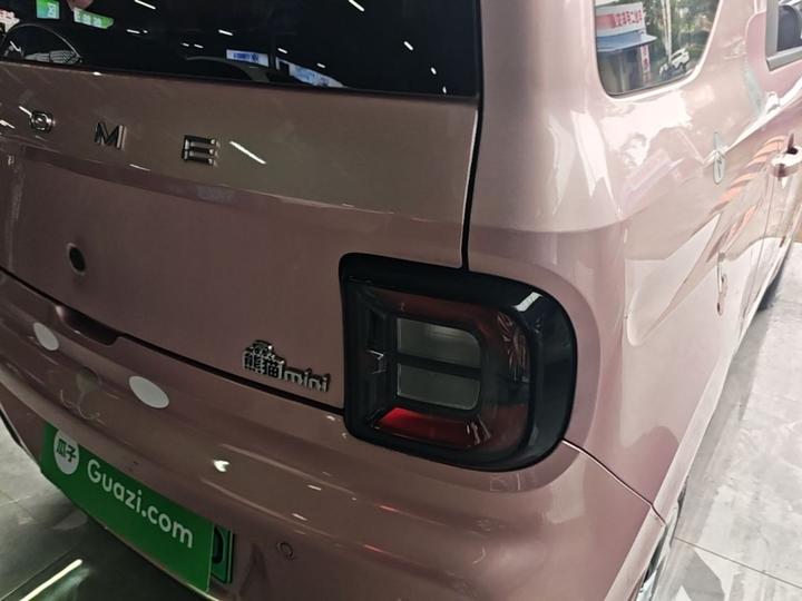 2023 Panda mini 200km Endurance Bear photo 7