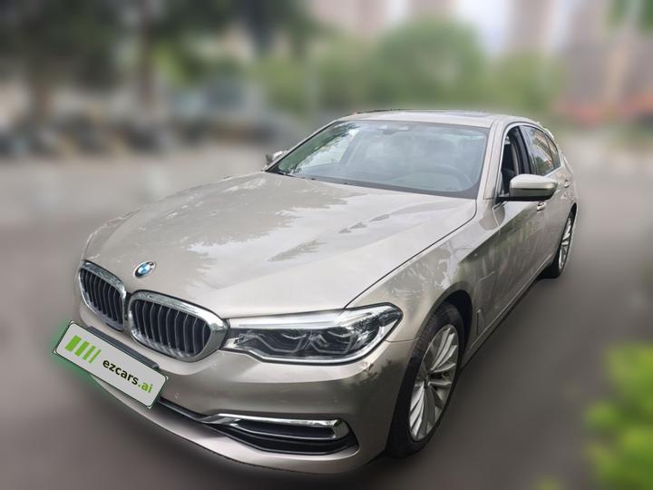 5 Series 2020 530Li Exclusive Luxury