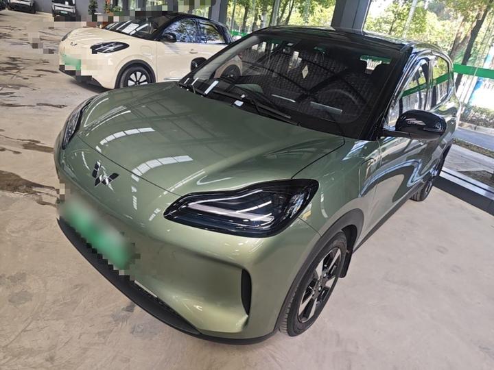 Wuling Bingo PLUS 2024 510km Flagship 4-Seater
