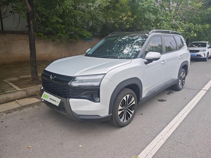560 EV 2026 125km Luxury