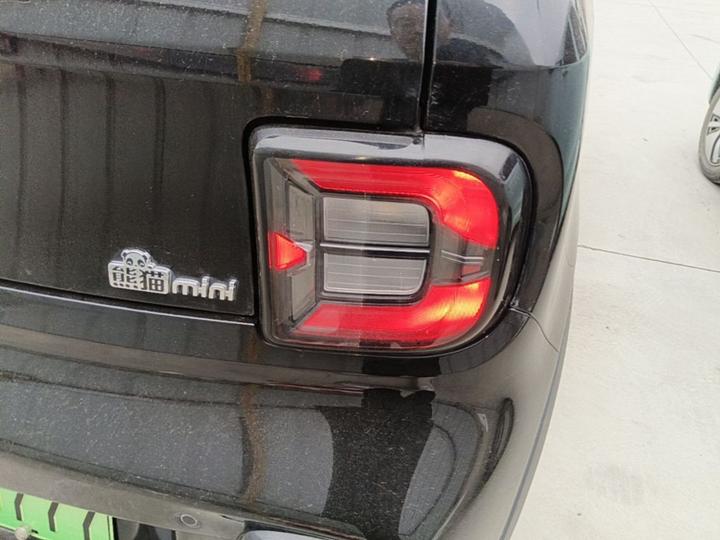 2025 210km Panda photo 7