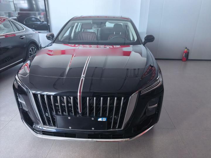 H5 PHEV 2025 130 photo 3