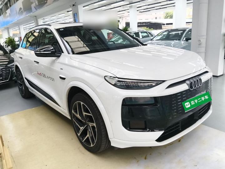 Q6L e-tron 2026 Pilot photo 3