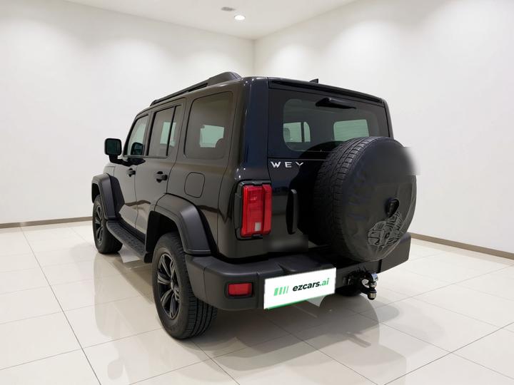 300 2021 Off-road 2.0T photo 4
