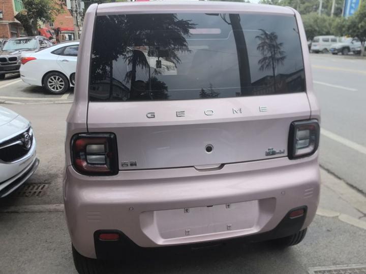 2024 Panda mini 200km Endurance Bear photo 5