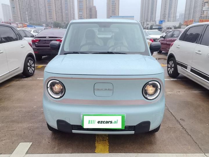 2023 Panda mini 200km Endurance Bear photo 2