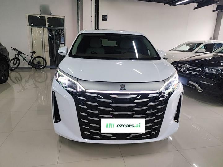 2025 DM-i 1.5T 100km photo 2
