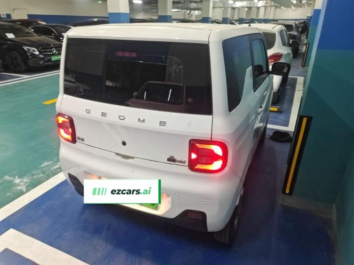 2023 Panda mini 200km Endurance Bear photo 7