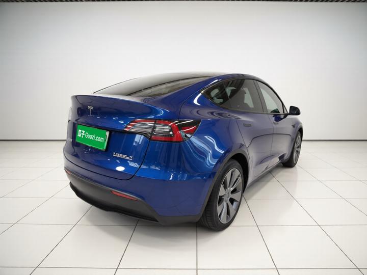 Model Y 2021 Long Range AWD photo 6