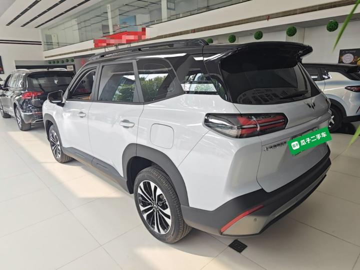 560 EV 2026 125km Luxury photo 4