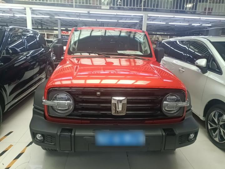 300 2023 Off-road 2.0T Conqueror photo 2