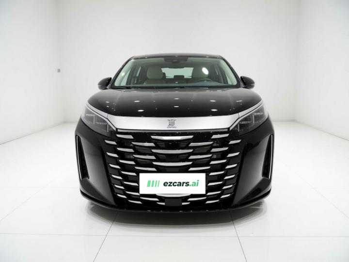 2025 DM-i 1.5T 180km photo 2