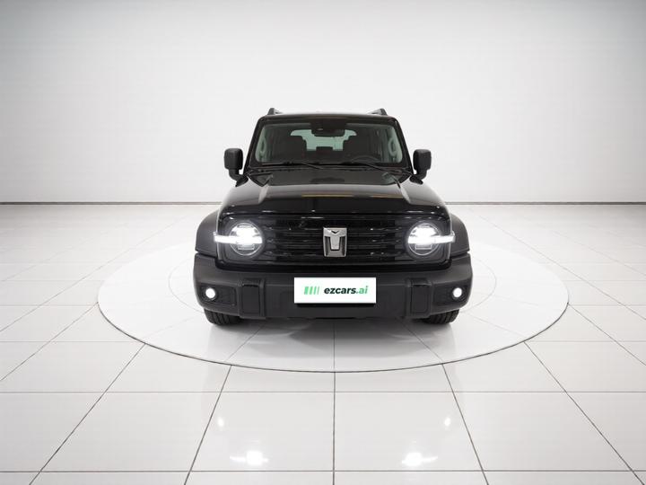 300 2025 2.0T Petrol Conqueror photo 2
