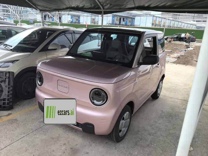 2024 Panda mini 200km Endurance Bear
