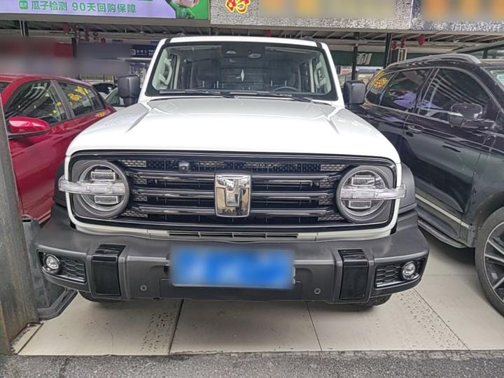 300 2023 Off-road 2.0T Conqueror photo 2