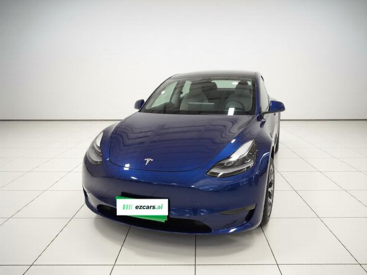Model Y 2021 Long Range AWD photo 2