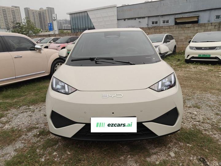 Seagull 2025 ADAS 305km photo 2