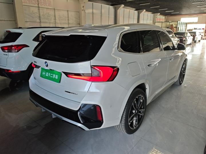 X1 2023 sDrive25Li M Sport Package photo 6