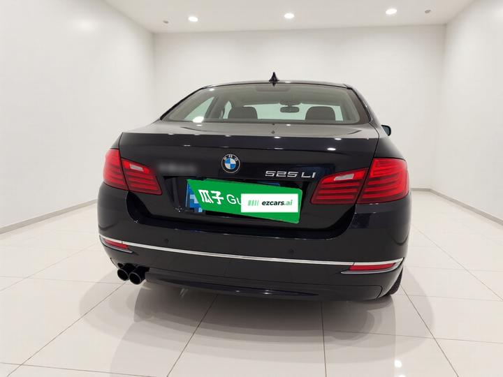 5 Series 2017 525Li Luxury Design Package photo 5