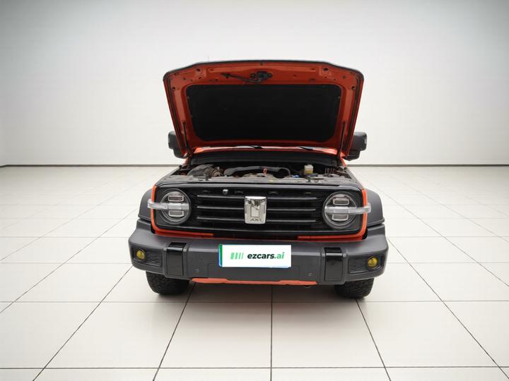 300 2021 Off-road 2.0T Conqueror photo 2