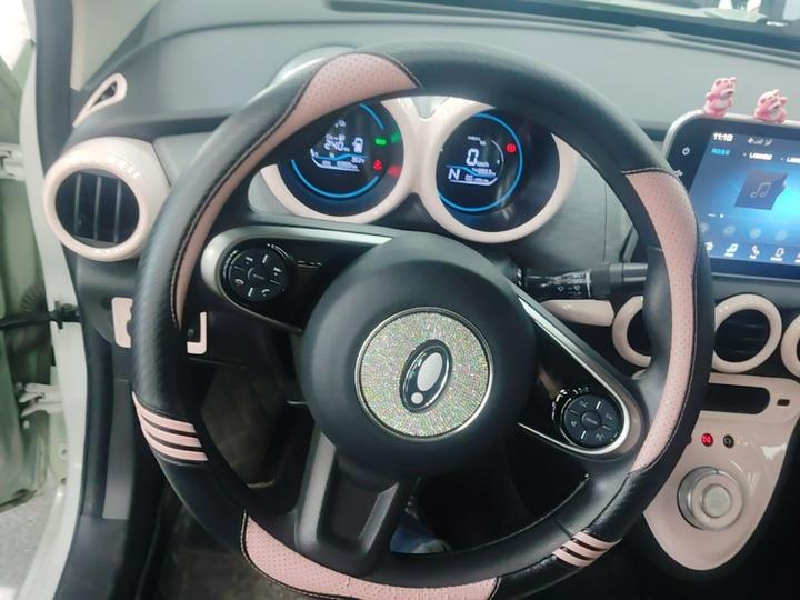 2022 Facelift 301km LFP photo 6