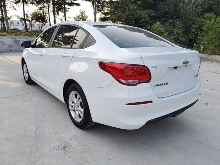 Cavalier 2019 320 MT photo 4