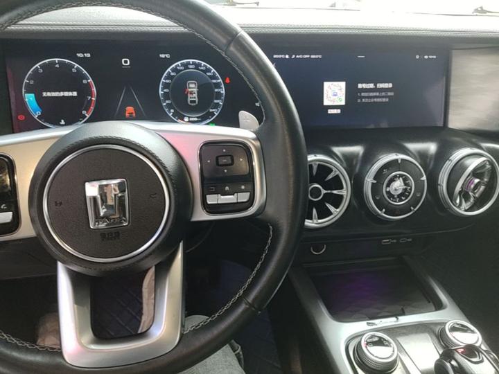 300 2021 Off-road 2.0T Conqueror photo 5
