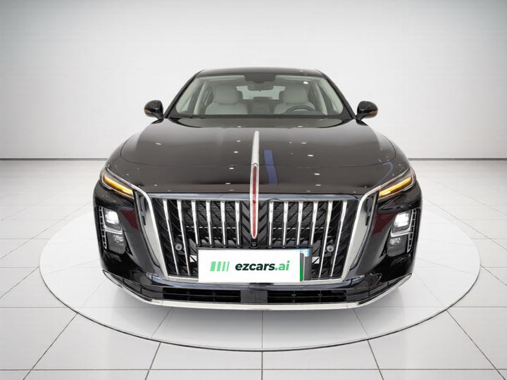 H5 PHEV 2025 130 photo 2