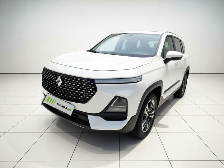 RS-5 2019 1.5T MT-Class Luxury China VI