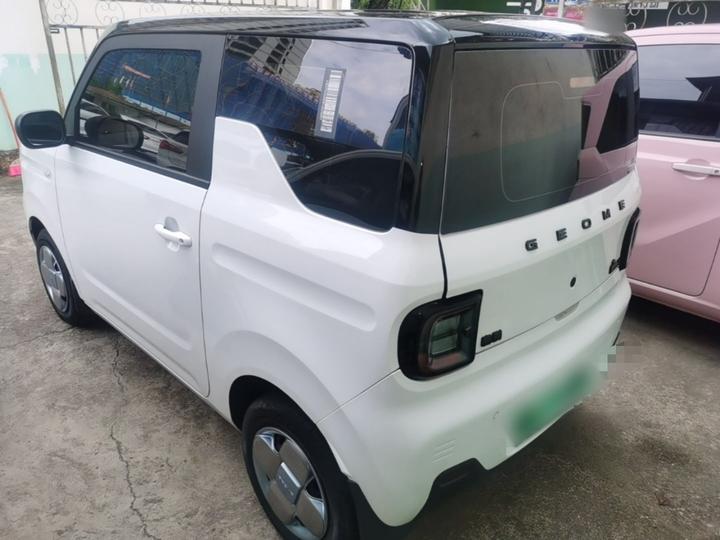 2023 Panda mini 200km Endurance Bear photo 4