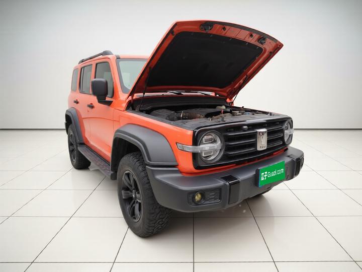 300 2021 Off-road 2.0T Conqueror photo 3