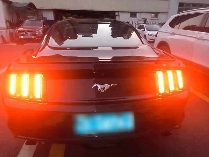 Mustang Parallel Import photo 3