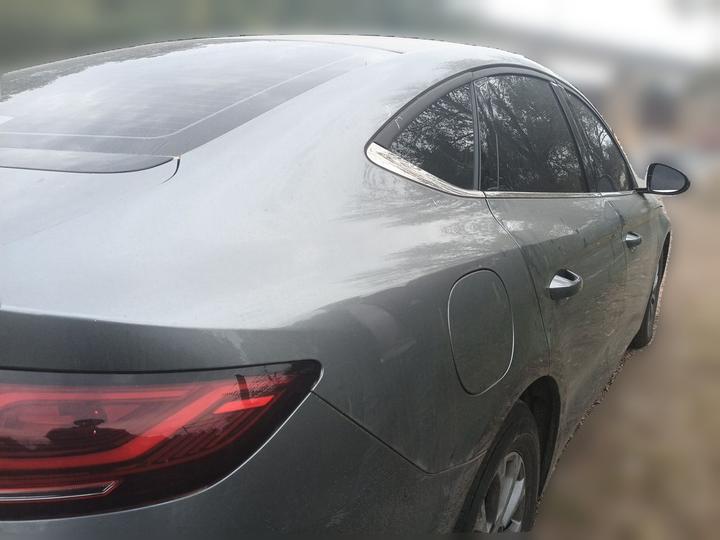 Qin L 2024 DM-i 80KM Leading photo 6