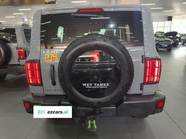 300 2023 Off-road 2.0T Conqueror photo 5