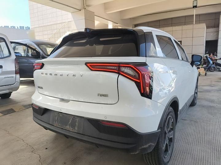 E Firefly 2022 401KM 4-Seater photo 4